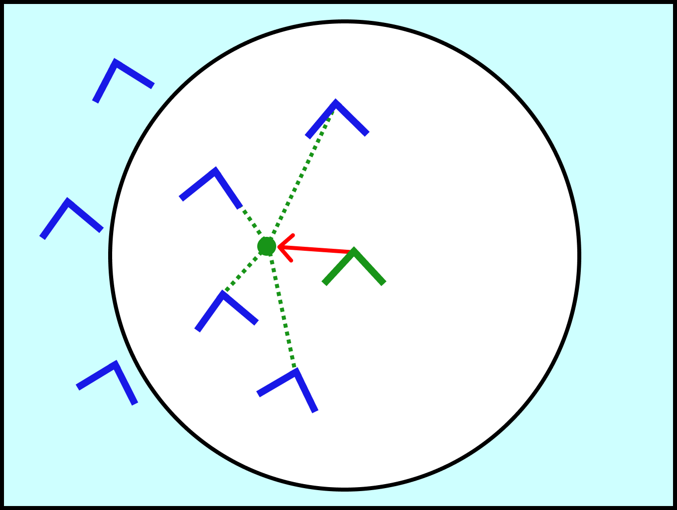 Our boid has a red arrow pointing to a green point in space. There are lines from the other boids that lead to this average center.